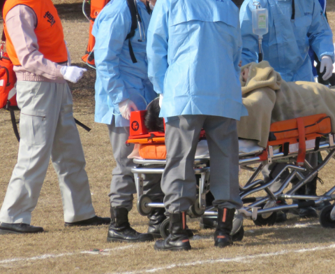 組織について